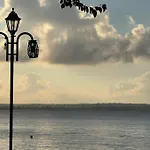 Summer Mood, Forest Feeling In Sozopol