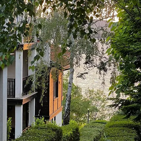 Summer Mood, Forest Feeling In * Sozopol