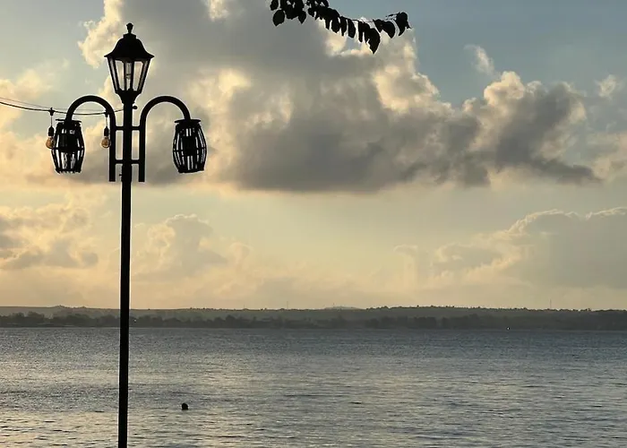 Summer Mood, Forest Feeling In Sozopol