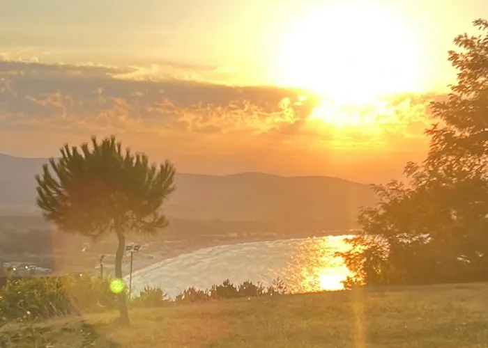 Apartament Summer Mood, Forest Feeling In