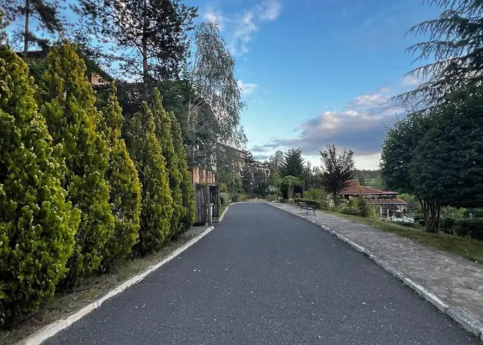 Summer Mood, Forest Feeling In Sozopol