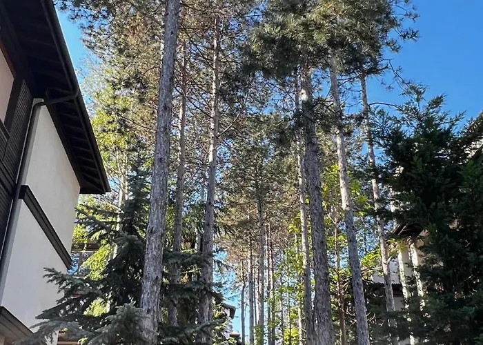 Apartament Summer Mood, Forest Feeling In *