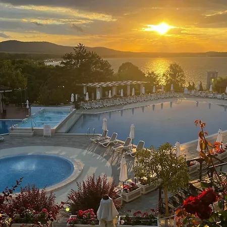 Summer Mood, Forest Feeling In Appartement