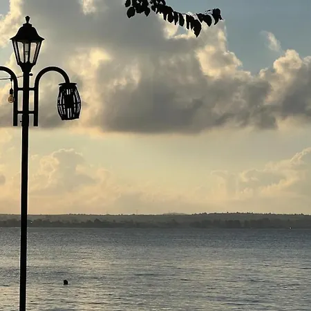 Summer Mood, Forest Feeling In Sozopol