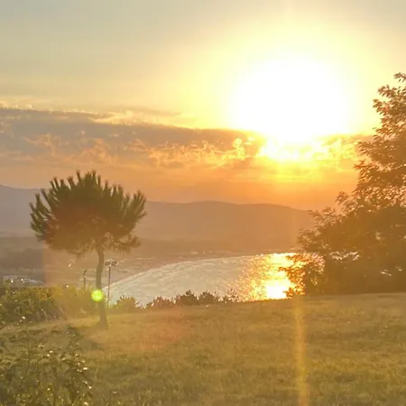 Appartement Summer Mood, Forest Feeling In