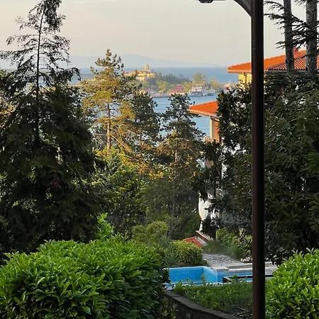 Summer Mood, Forest Feeling In Appartement *