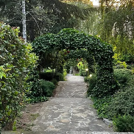 Summer Mood, Forest Feeling In *