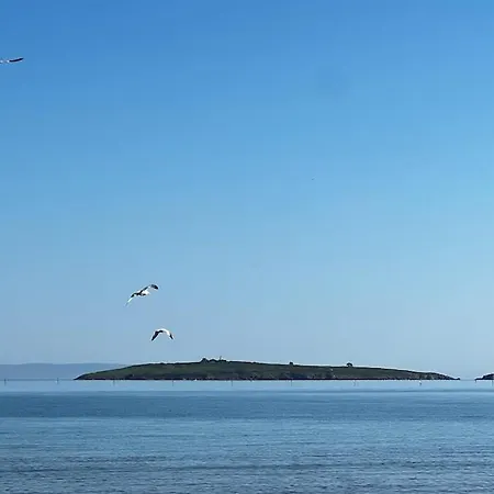 Appartement Summer Mood, Forest Feeling In