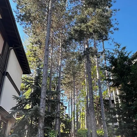 Appartement Summer Mood, Forest Feeling In *