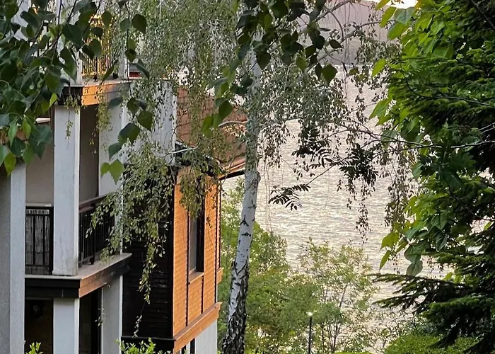 Summer Mood, Forest Feeling In * סוזופול