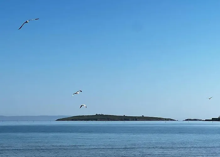 דירה Summer Mood, Forest Feeling In